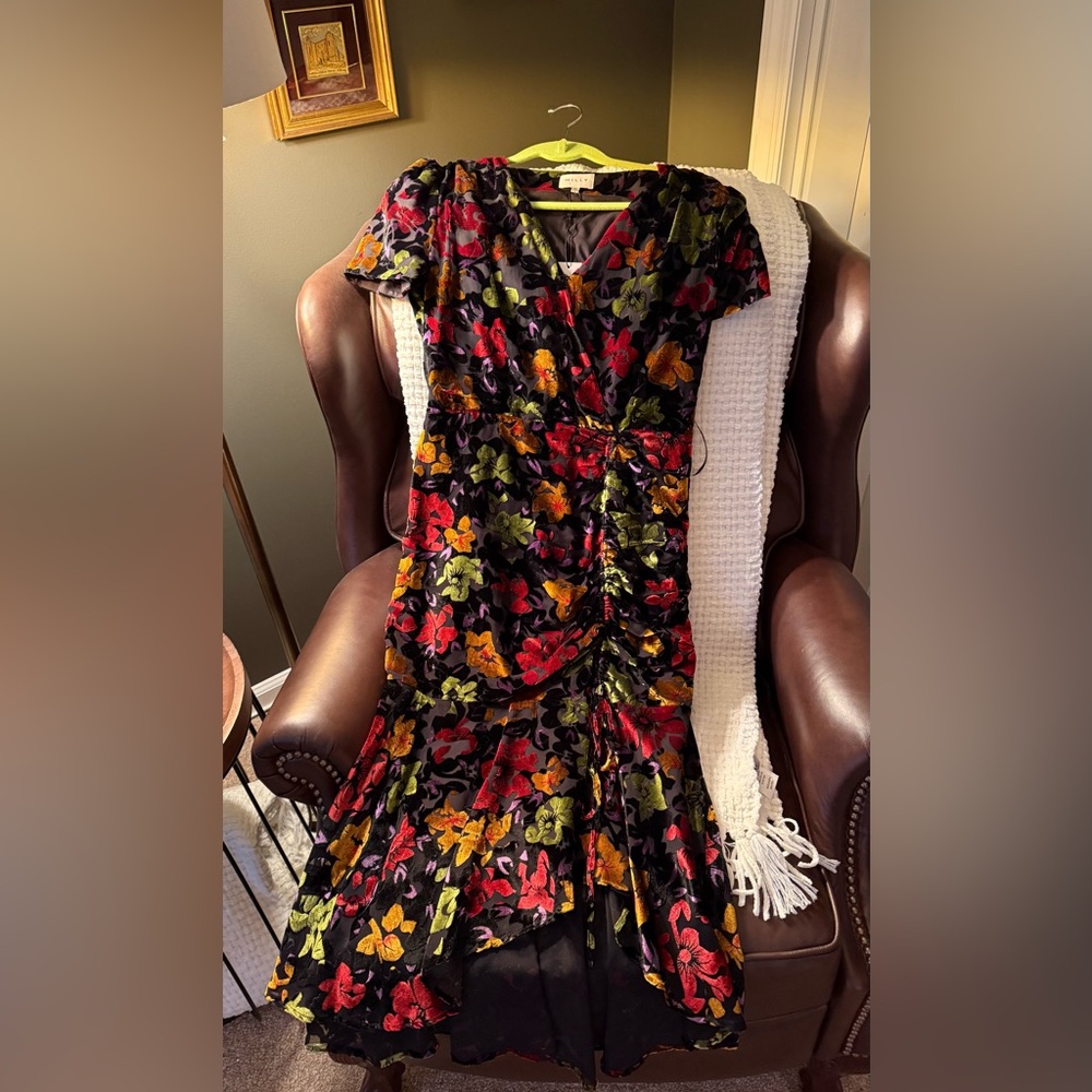 Milly Dress size 4 NWT - Picture 4 of 4